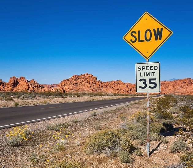 Driving Safely in New Mexico: Key Laws and Safety Programs to Know